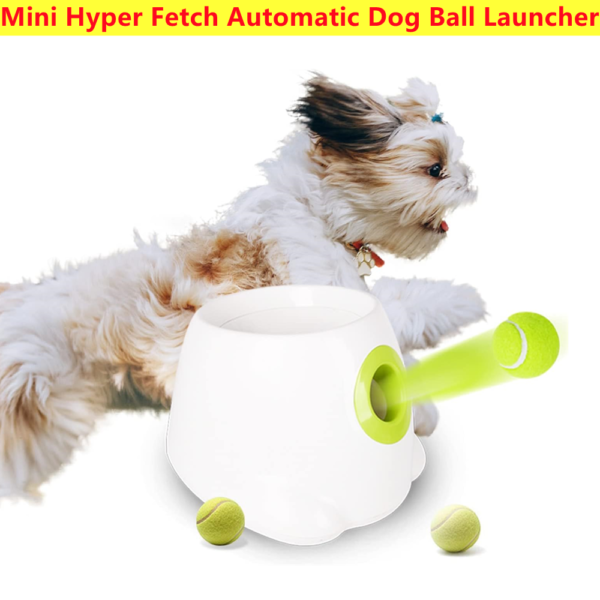 mini hyper detch automatics dog ball launcher