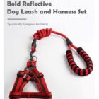 Nylon Dog Leash3
