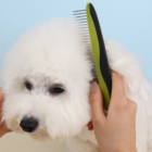 Open Knot Grooming Kit2