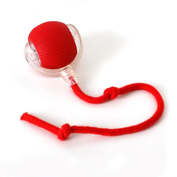 Pet ball toys-img