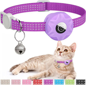 Cat Collars