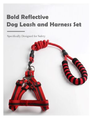 Nylon Dog Leash