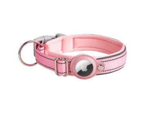 Dog Collars