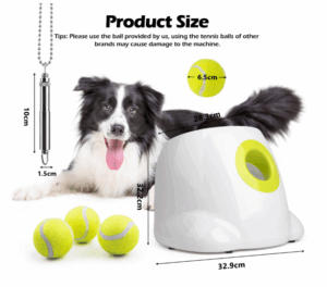 Fetch Toys
